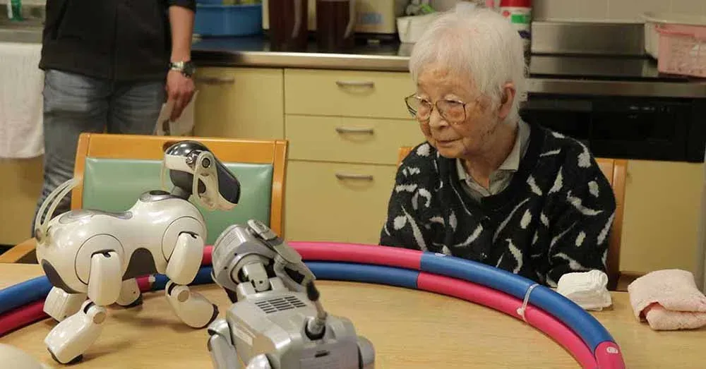 Dependent only on Japan’s robots which are increasingly aging and have a shortage of workers