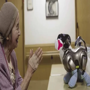 Dependent only on Japan’s robots which are increasingly aging and have a shortage of workers