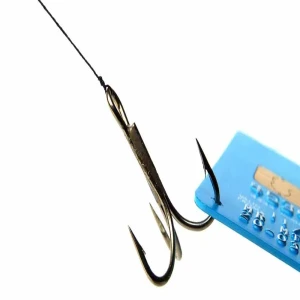 Avoiding Digital Fishing Hooks Phishing